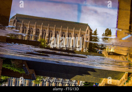 Seattle, Kalifornien, USA. 21. März 2016. Die Bibliothek der University of Washington spiegelt sich in einer Pfütze an einem regnerischen Frühling Nachmittag. © Bruce Chambers/ZUMA Draht/Alamy Live-Nachrichten Stockfoto