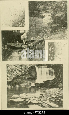 Delaware County, New York; Geschichte des Jahrhunderts, 1797-1897; Hundertjahrfeier, Juni 9 und 10, 1897 (1898) Stockfoto