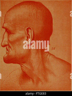 Eine Biografie aus dem Jahr 1898, die das facettenreiche Genie Leonardo da Vincis erforscht und seine Beiträge zu Kunst, Wissenschaft und Technik während der Renaissance thematisiert. Stockfoto