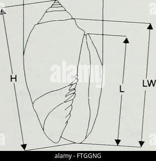Eine 1998 erschienene Publikation mit dem Titel „Apex“, in der Fortschritte in Technologie, Kultur und digitaler Welt untersucht werden, wobei der Schwerpunkt auf der Schnittstelle zwischen Innovation und menschlichem Fortschritt liegt. Stockfoto