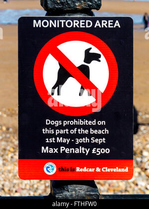 Unterzeichnen Sie 1. Mai – 30. Sept. Max Strafe £500 Saltburn Redcar und Cleveland Hunde verboten in diesem Teil des Strandes Stockfoto