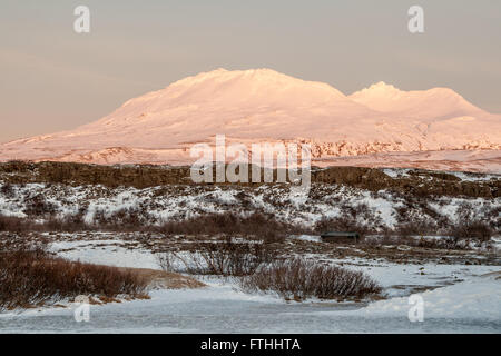 Rosa gefärbten Schnee bedeckten Berge bei Sonnenaufgang, Golden Circle, Island Stockfoto