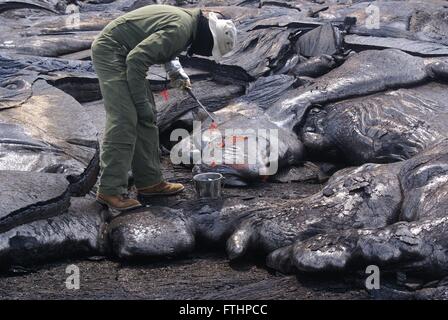 USGS Geologe an der Hawaiian Volcano Observatory nimmt frische Lava Proben als in der Nähe der Vent als möglich 17. März 2015 in Hilo, Hawaii. Die Probe ist schöpfte aus der Pahoehoe-Lappen dann in einen Eimer mit Wasser zu bewahren die Zusammensetzung der flüssigen Lava schnell abgeschreckt. Sobald Sie abgekühlt, wird die Probe analysiert, um alle Änderungen zu ermitteln, die in Kilauea Vulkan auftreten kann. Stockfoto