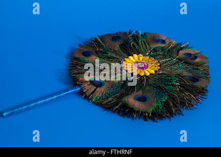 Runde Fächer der Pfauenfedern auf blauem Hintergrund Stockfoto