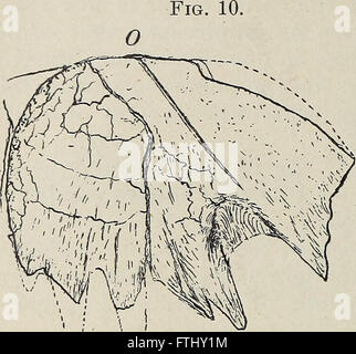 American Journal of Science (1909) Stockfoto