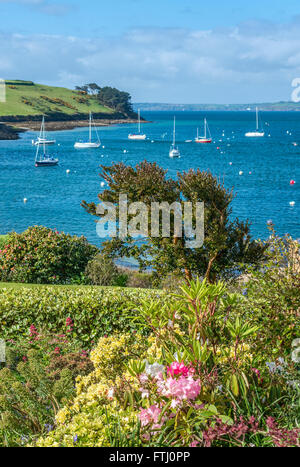 Garten an der malerischen Küste in der Nähe von St.Mawes bei Falmouth, Cornwall, England, Großbritannien Stockfoto