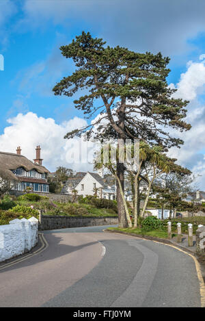 Malerische Küstenstraße am Fischerdorf St.Mawes, Cornwall, England, Großbritannien Stockfoto