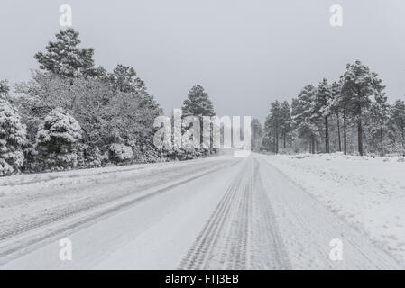 Perfekt glatte Amerika Autobahn quer durch die endlose Wüste Stockfoto