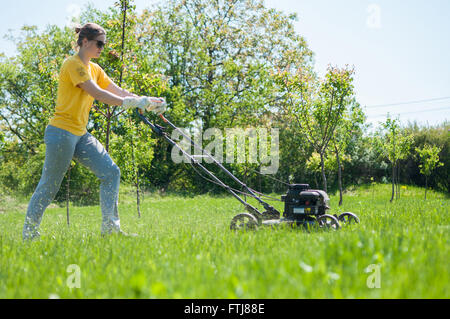 Junge Frau im Garten Rasen trimmen Rasenmäher schieben Stockfoto