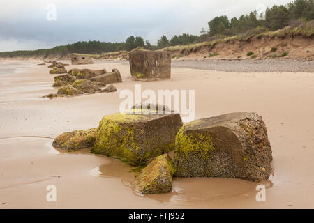 Anti-Tank Blöcke am Strand von Burghead Bay Stockfoto