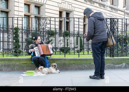 Eine Straßenmusikerin, die Akkordeon spielt, und ihr Labradoodle-Hund vor der National Portrait Gallery im Londoner West End, England Stockfoto