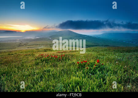 Frühling-Sonnenuntergang in den Bergen mit roten Blumen blühen Stockfoto