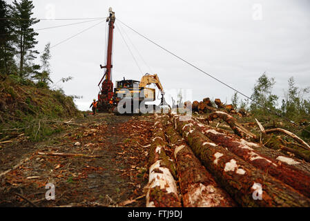 GREYMOUTH, Neuseeland, 23. Oktober 2015: A Kabel Schlepper zieht frisch geschnittenen Pinus Radiata Protokolle auf die Landung in exotischen Wald Stockfoto
