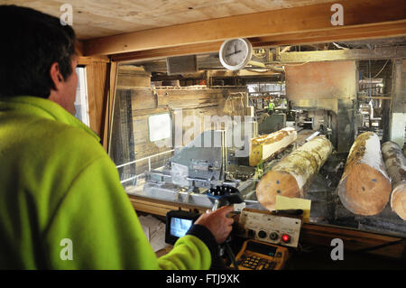 Die Kopf Sawyer in einem Sägewerk bewegt sich Platten aus Pinus Radiata Holz durch die erste Bandsäge zum nächsten Satz von Sägen Stockfoto