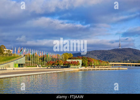 herbstliche Bäume auf einer Stadtvilla des Lake Burley Griffin in Canberra unter warmen Morgensonne mit Flaggen im Hintergrund. Stockfoto