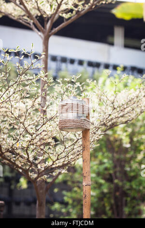 Kerze Lampe im Garten, Lager Foto Stockfoto