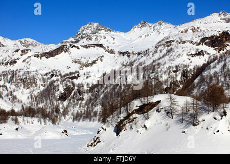 Alpe Devero, Ossola Tal, VCO, Piemont, Italien Stockfoto