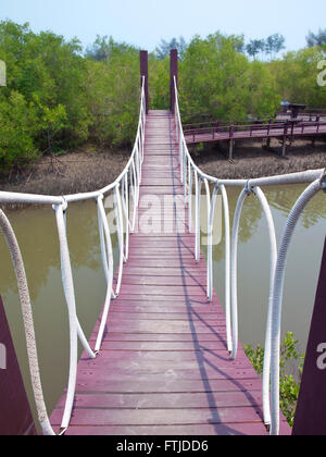 Hängebrücke überqueren über Kanal im Mangrovenwald Stockfoto