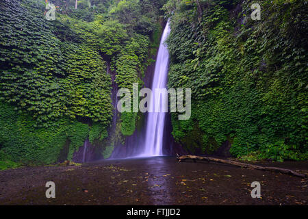 Wasserfall von Munduk, Bali, Indonesien Stockfoto