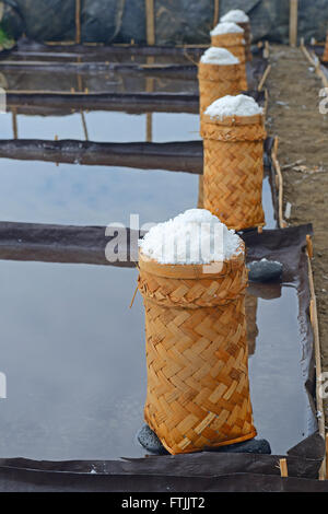 Geerntetes Und Zur Trocknung Abgepacktes Meersalz, Das Sogenannte Fleur de Sel, Nordbali, Bali, Indonesien Stockfoto