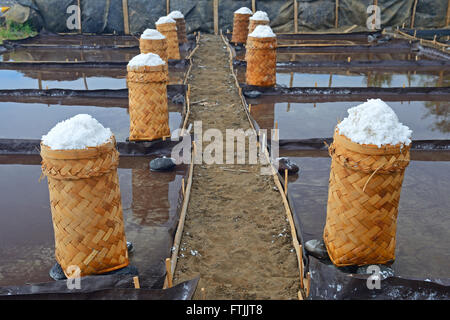 Geerntetes Und Zur Trocknung Abgepacktes Meersalz, Das Sogenannte Fleur de Sel, Nordbali, Bali, Indonesien Stockfoto