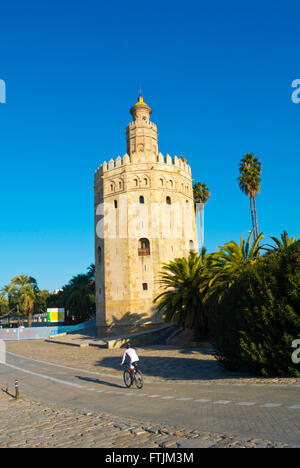 Paseo Alcalde Marqués del Contadero, Canalside Promenade am Torre del Oro, Sevilla, Andalusien, Spanien Stockfoto