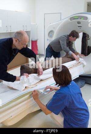 Dresden, Deutschland. 1. März 2016. Restaurator Hans Effenberg (L) und Museologin Juergen Lange (R) von Dresden Zustand Kunst Sammlungen (SKD) bereiten eine 1600 Jahre alte Mumie einer Computertomographie (CT)-Scan am Klinikum Friedrichstadt in Dresden, Deutschland, 1. März 2016. Die Prüfung ist eines der bevorzugte Diagnose-Tool von Mumie Forschern verwendet, um Informationen über die Mumifizierung, Geschlecht und Alter der Person sowie mögliche Krankheiten oder Todesursachen der verstorbenen Person. Foto: SEBASTIAN KAHNERT/Dpa/Alamy Live News Stockfoto