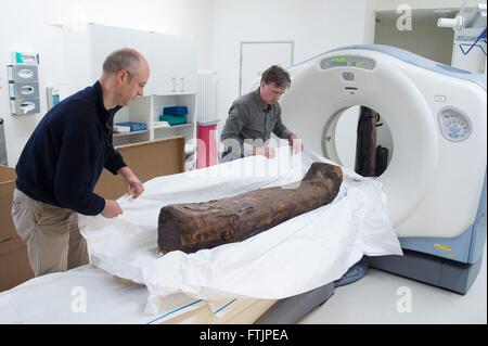 Dresden, Deutschland. 1. März 2016. Restaurator Hans Effenberg (L) und Museologin Juergen Lange von Dresden Zustand Kunst Sammlungen (SKD) bereiten eine 1600 Jahre alte Mumie einer Computertomographie (CT)-Scan am Klinikum Friedrichstadt in Dresden, Deutschland, 1. März 2016. Die Prüfung ist eines der bevorzugte Diagnose-Tool von Mumie Forschern verwendet, um Informationen über die Mumifizierung, Geschlecht und Alter der Person sowie mögliche Krankheiten oder Todesursachen der verstorbenen Person. Foto: SEBASTIAN KAHNERT/Dpa/Alamy Live News Stockfoto