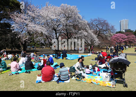 Tokio, Japan. 29. März 2016. Menschen Picknick als erste japanische Kirschblüte in Tokio bringt die Massen in Shinjuku Park in Tokio, Japan. Die Kirschblüte ist bekannt als Sakura in Japan und der traditionellen Brauch der Betrachtung der Blumen ist Hanami genannt. Bildnachweis: Paul Brown/Alamy Live-Nachrichten Stockfoto