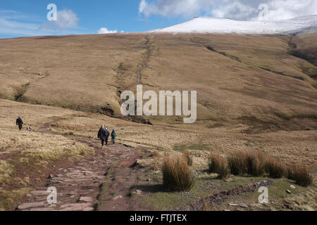 Pen Y Fan, Brecon Beacons, Powys, Wales - März 2016 - Wanderer auf den Weg um zu klettern die Hänge des Pen Y Fan in hellen Frühlingssonne - Schnee und Eis bleiben an den oberen Hängen des Gipfels der Pen Y Fan, 886m - 2.907 Füße hoch oben in den Brecon Beacons. Stockfoto