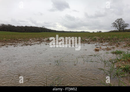 Epsom, Surrey, England, UK. 29. März 2016. Regen zu fallen beginnt die bereits Wasser Felder der Landschaft in der Nähe von Epsom Surrey angemeldet, als die nächste Sturmfront Großbritannien überquert. Bildnachweis: Julia Gavin UK/Alamy Live-Nachrichten Stockfoto