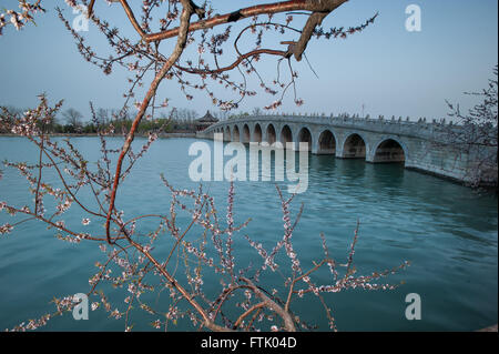 Peking, China. 29. März 2016. Kirschblüten sind in der Nähe der siebzehn-Bogen-Brücke in der Sommerpalast in Peking, Hauptstadt von China, 29. März 2016 gesehen. © Pu Dongfeng/Xinhua/Alamy Live-Nachrichten Stockfoto