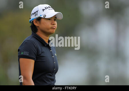 Orlando, Fla, USA. 17. November 2011. Yani Tseng in der ersten Runde der CME Group Titelverteidiger im Grand Cypress Resort am 17. November 2011 in Orlando, Florida ZUMA PRESS/Scott A. Miller © Scott A. Miller/ZUMA Draht/Alamy Live News Stockfoto