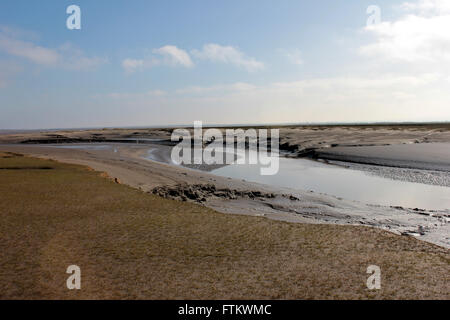 Skinburness-Salz-Sumpf, Gezeiten-Mündung in der Nähe von Grune Punkt in West Cumbria Stockfoto