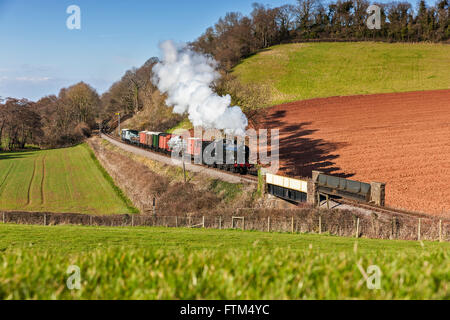 West Somerset Railway, Frühling Gala Stockfoto