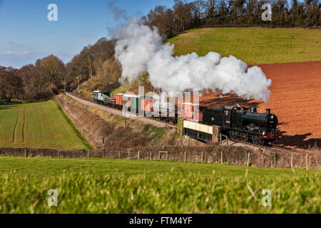 West Somerset Railway, Frühling Gala Stockfoto