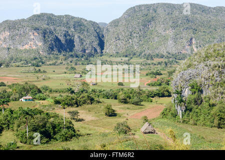 Panoramablick über die Landschaft mit Mogotes in Vinales Tal, Kuba Stockfoto