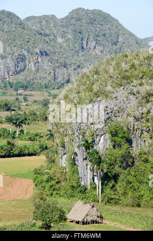 Panoramablick über die Landschaft mit Mogotes in Vinales Tal, Kuba Stockfoto