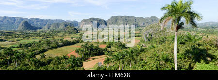 Panoramablick über die Landschaft mit Mogotes in Vinales Tal, Kuba Stockfoto