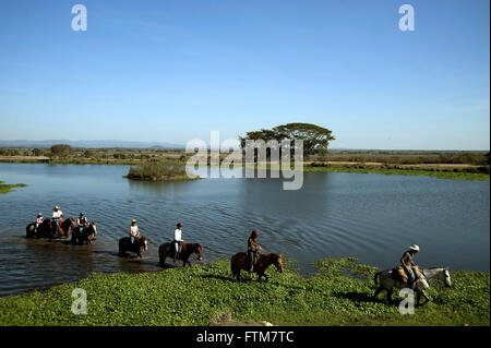 Touristen tun Pferd Reiten durch Corixo Farm im südlichen Pantanal Stockfoto