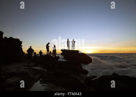 Touristen auf der Suche Nasenbär, Top Mount Roraima - Nationalpark Mount Roraima Stockfoto