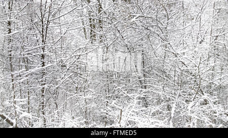 HD horizontale nahtlose Textur, herrliche Winterlandschaft des komplizierten Holz Äste mit Schnee bedeckt Stockfoto