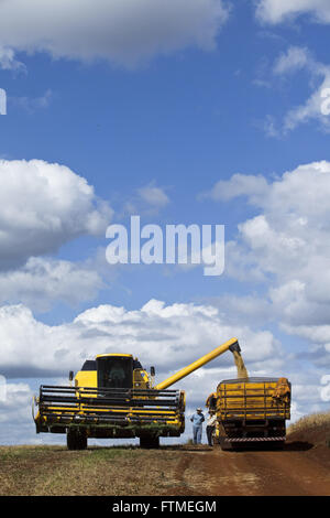 Kombinieren Sie gießen Soja-Korn-LKW auf dem Lande Stockfoto