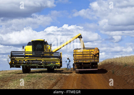 Kombinieren Sie gießen Soja-Korn-LKW auf dem Lande Stockfoto