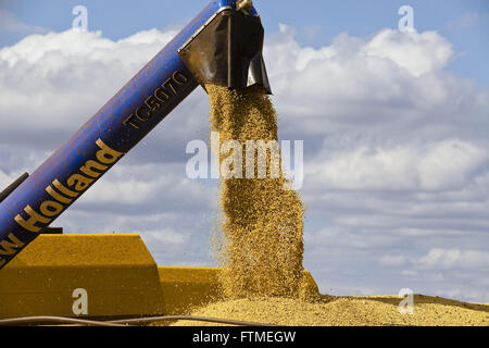 Kombinieren Sie gießen Soja-Korn-LKW auf dem Lande Stockfoto