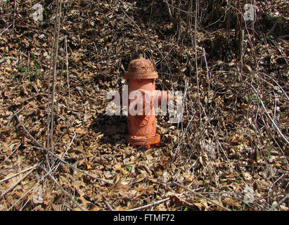 Einem Hydranten im ländlichen West Virginia Stockfoto