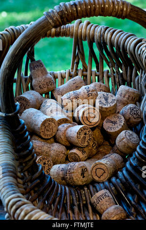 Konzept-Bild der französischen Weinleser Ernte Korb mit Auswahl von verschiedenen Luxus Champagner-Korken Stockfoto
