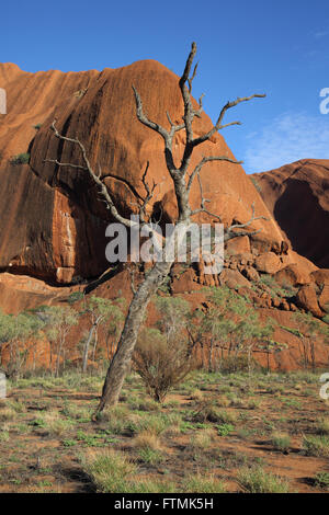 Uluru Basis Spaziergang im northern Territory von Australien Stockfoto