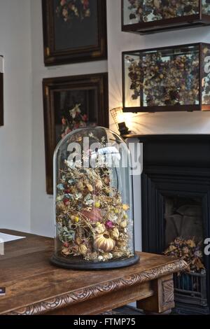 Viktorianische Glasglocke Glas: gemischt, Blumen, Muscheln, Kupferdraht, Bildhauerei, in einem Glaskasten von Rebecca Louise Law. Stockfoto