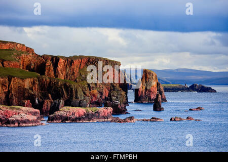 Die Drongs aus rotem Sandstein sea Stacks in Braewick auf atemberaubende robusten schottischen Shetland Küste Landschaft Eshaness Shetland Inseln Schottland Großbritannien Großbritannien Stockfoto